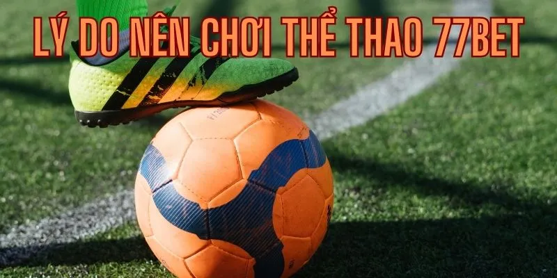 Tìm hiểu lý do nên tham gia cá cược thể thao tại 77Bet